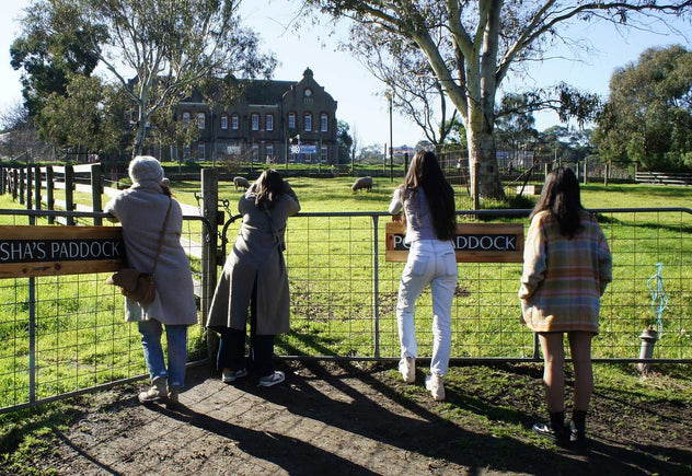 Behind the Design | On the Farm Collection