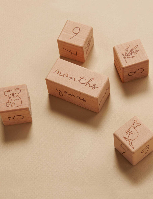 Stacking Blocks
