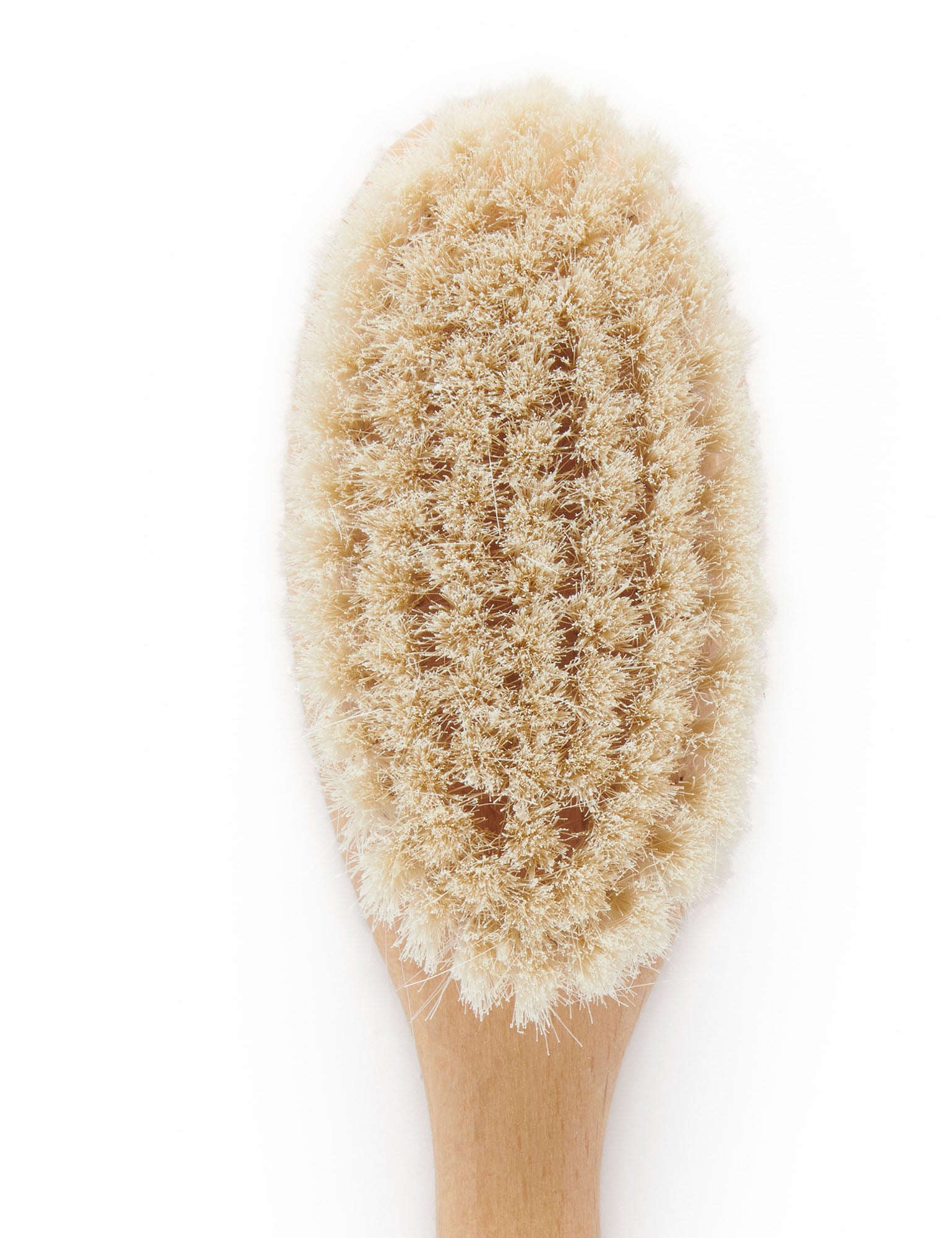 PBHAIRBRBX_NATUR_IMAGE3_1661309062