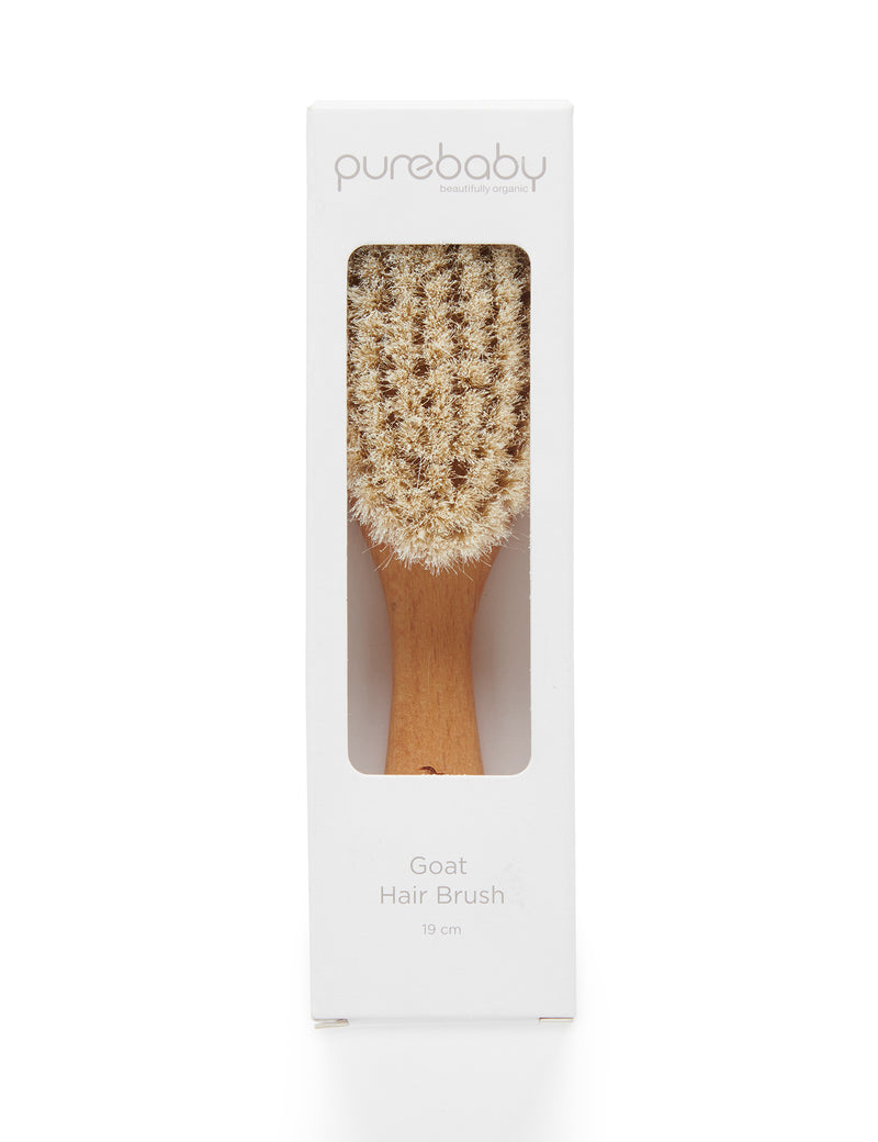 PBHAIRBRBX_NATUR_IMAGE4_1661309062