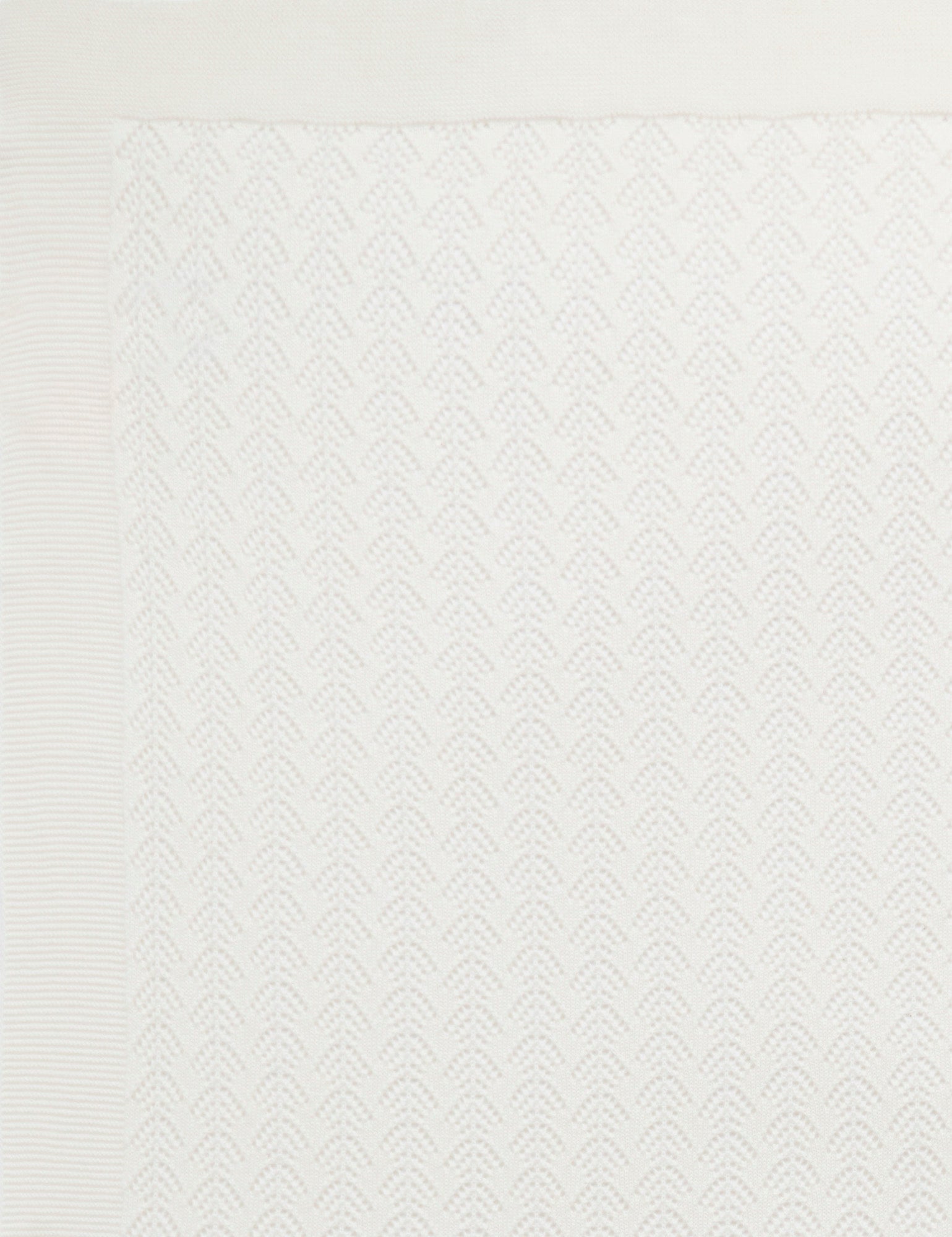 PH2025NS_VANPN_IMAGE5_1730245521
