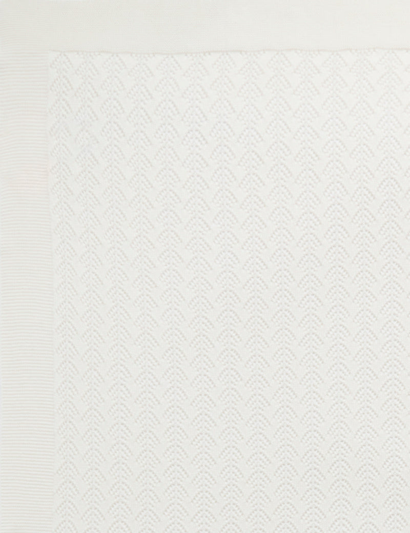 PH2025NS_VANPN_IMAGE5_1730245521